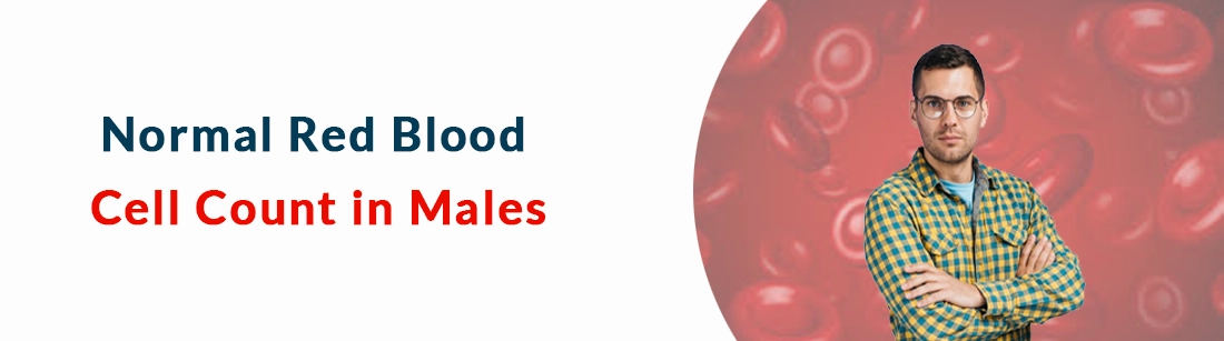 Normal Red Blood Cell Count in Males